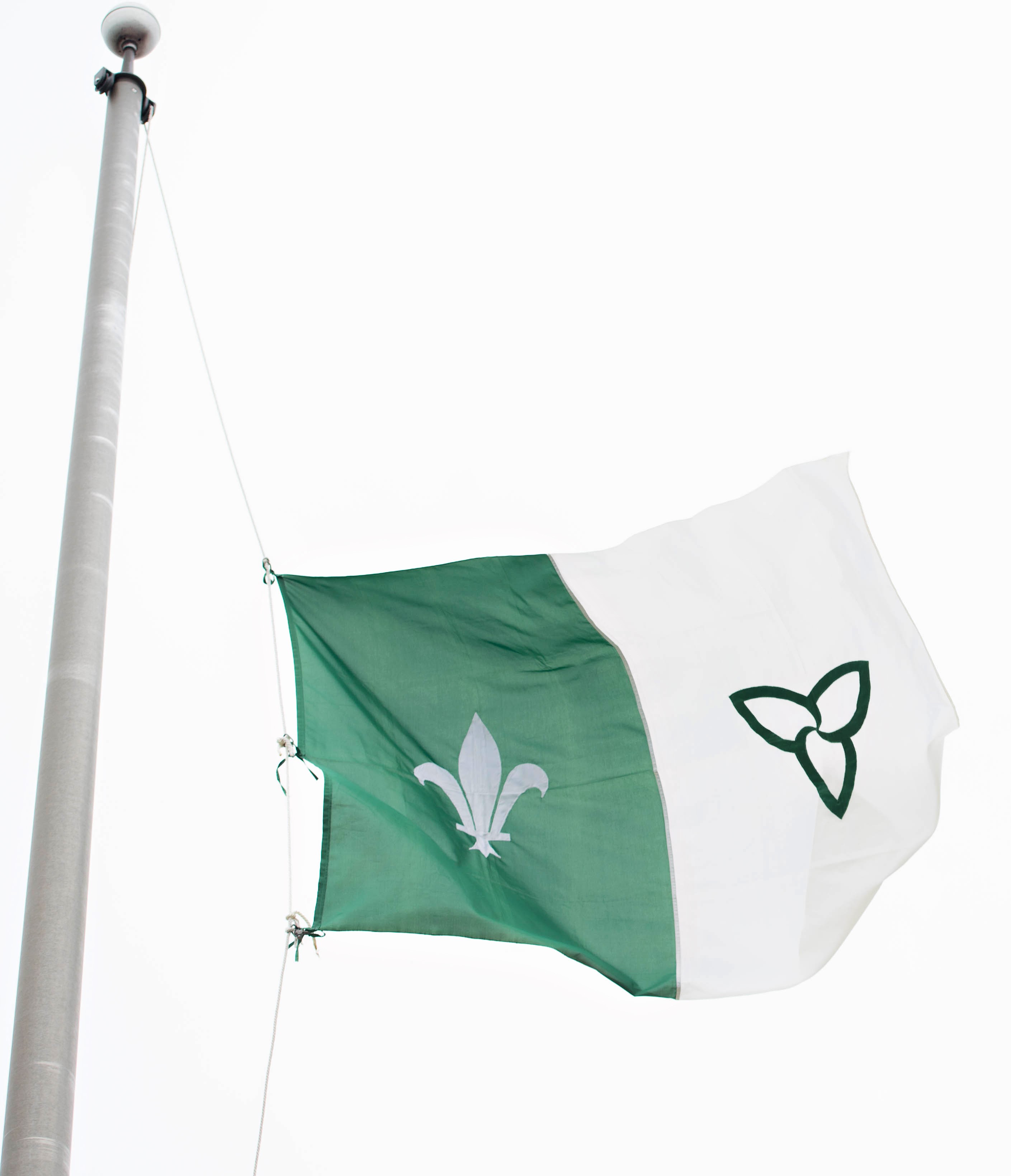 Franco-Ontarian flag fleur de lys and trillium green and white